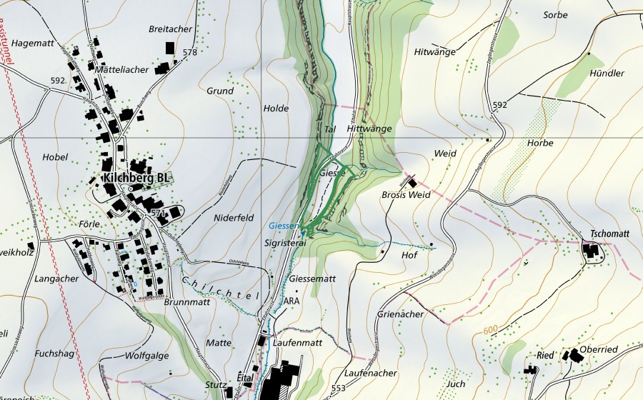 Landeskarte swisstopo mit dem Schutzperimeter von Im Giessen (Naturschutzgebiet)