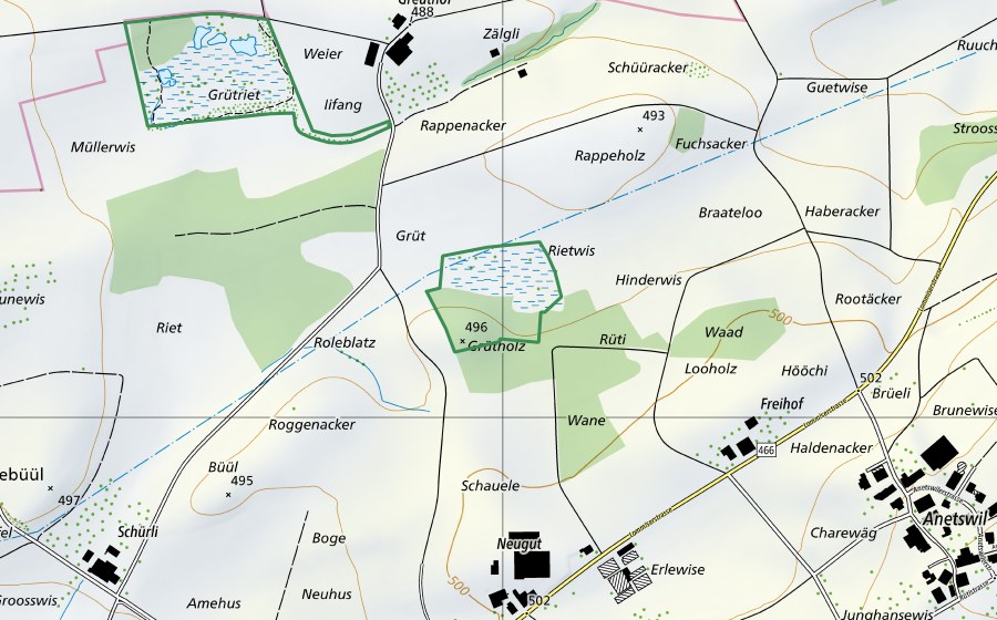 swisstopo national map showing the protected perimeter of Im Grüt (Nature reserve)