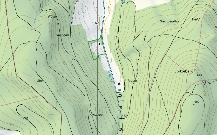 swisstopo national map showing the protected perimeter of Im Tal (Nature reserve)
