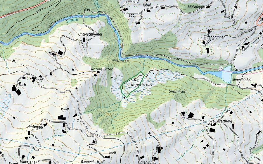 Landeskarte swisstopo mit dem Schutzperimeter von Impertschils (Naturschutzgebiet)