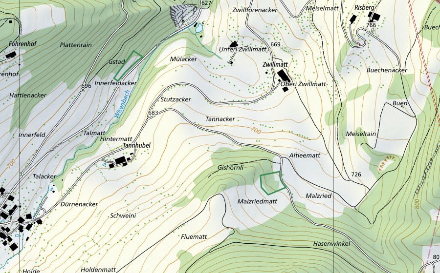 Landeskarte swisstopo mit dem Schutzperimeter von Innerfeld/Lättloch (Naturschutzgebiet)