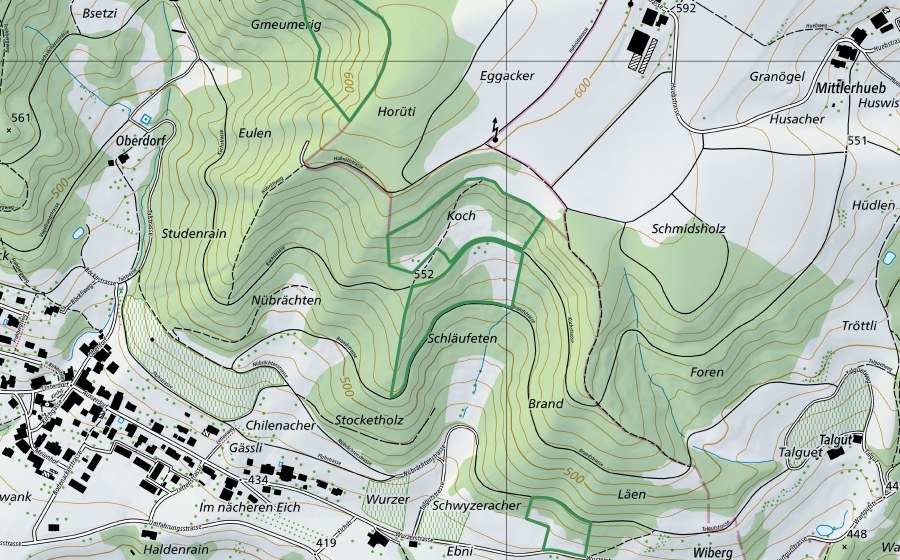 Landeskarte swisstopo mit dem Schutzperimeter von Irchel (Naturschutzgebiet)