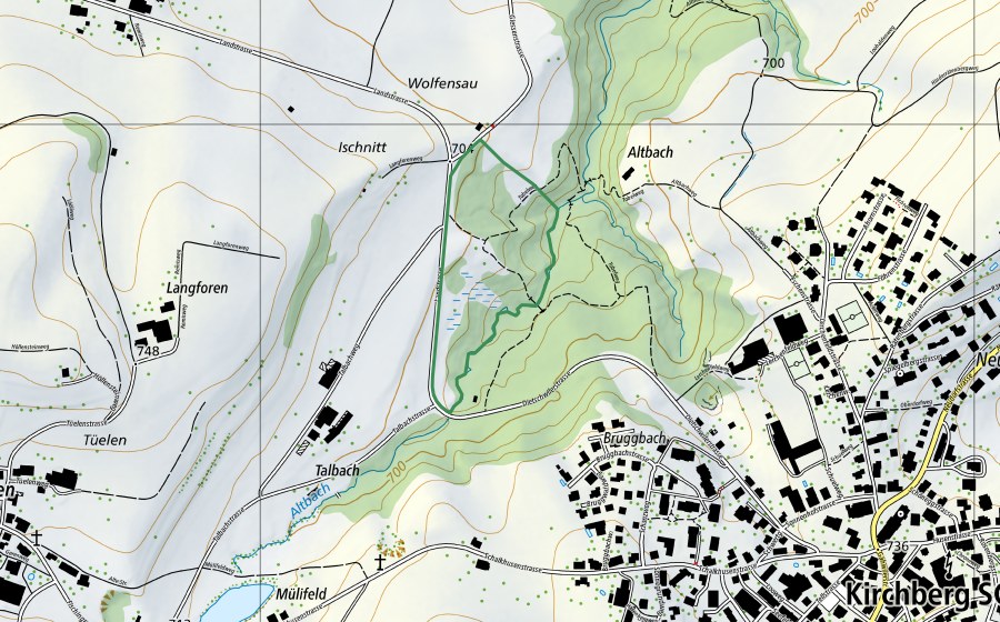 Carte nationale swisstopo avec le périmètre protégé de Ischnitt (Réserve naturelle)