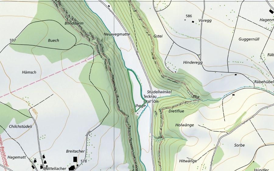 Carta nazionale swisstopo con il perimetro protetto di Jhegi Wässermatte (Riserva naturale)