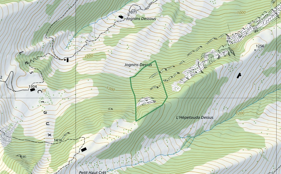 swisstopo national map showing the protected perimeter of Jognins (Nature reserve)