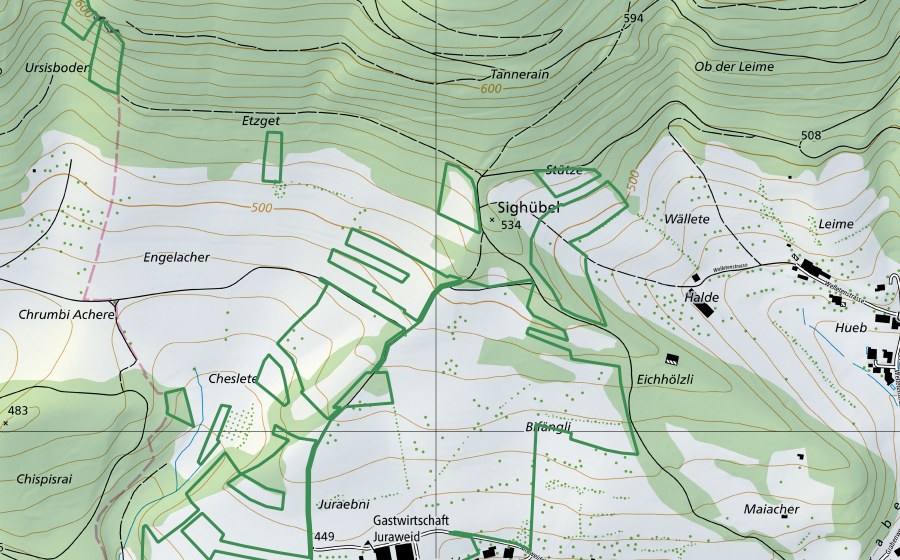 swisstopo national map showing the protected perimeter of Juraweid (Nature reserve)