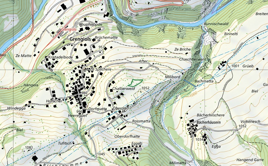 swisstopo national map showing the protected perimeter of Kalberweid (Nature reserve)