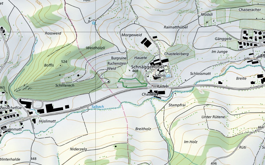 Carte nationale swisstopo avec le périmètre protégé de Kasteln (Réserve naturelle)