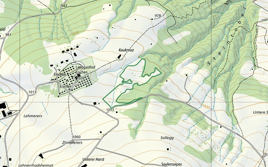 swisstopo national map showing the protected perimeter of Kau (Nature reserve)