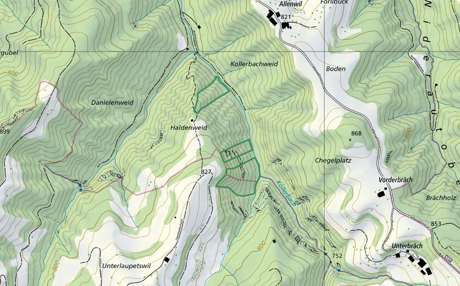 Carta nazionale swisstopo con il perimetro protetto di Kollerbachtobel (Riserva naturale)