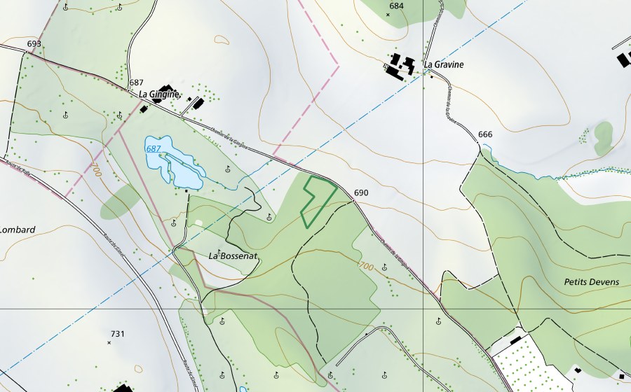 Carte nationale swisstopo avec le périmètre protégé de la Bossenaz (Réserve naturelle)