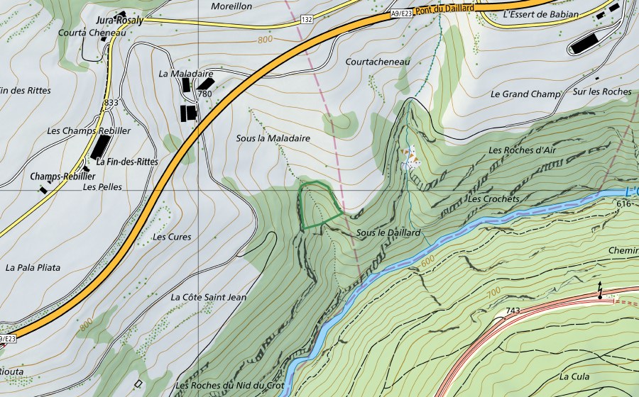 Carte nationale swisstopo avec le périmètre protégé de La Roche aux Perce-Neige (Réserve naturelle)