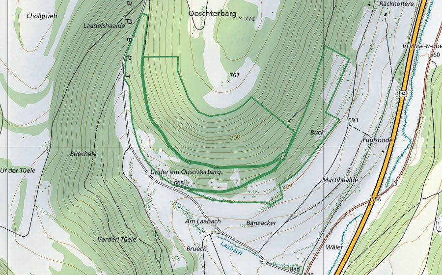 Carte nationale swisstopo avec le périmètre protégé de Laadel (Réserve naturelle)