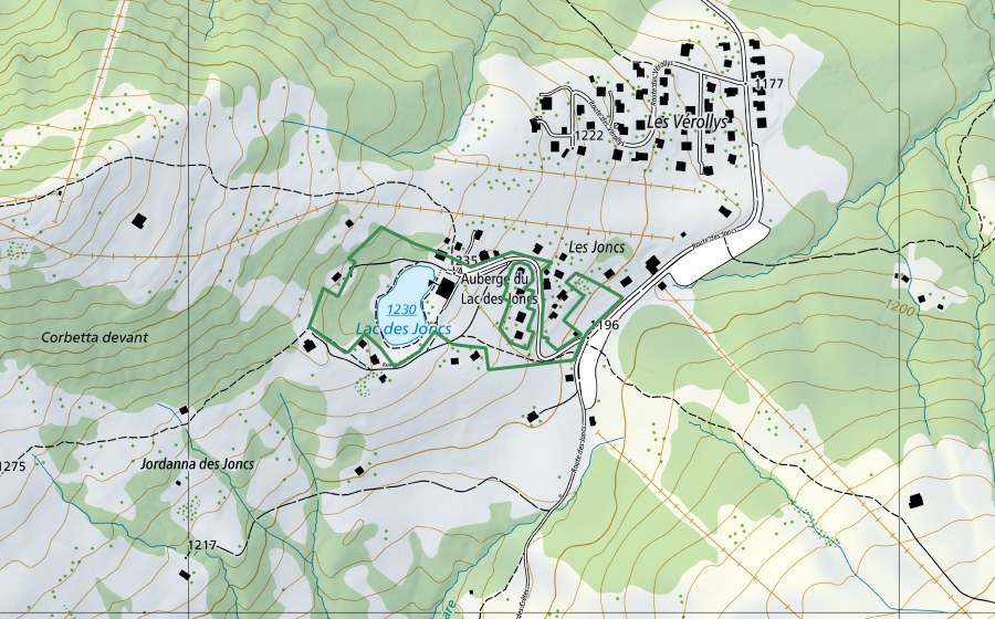swisstopo national map showing the protected perimeter of Lac des Joncs (Nature reserve)