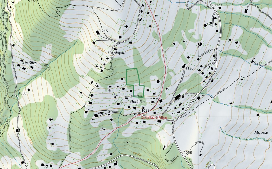 swisstopo national map showing the protected perimeter of Lally (Nature reserve)