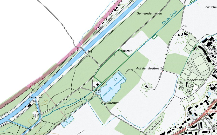 Carte nationale swisstopo avec le périmètre protégé de Lange Erlen (Réserve naturelle)