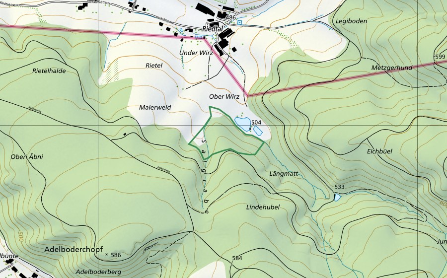 Landeskarte swisstopo mit dem Schutzperimeter von Längmatte, Rietel (Naturschutzgebiet)