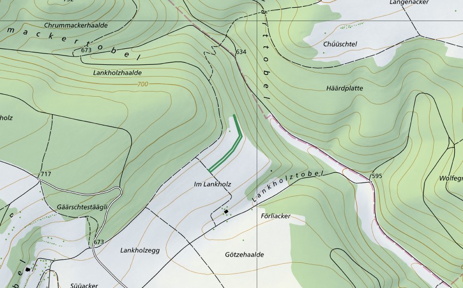 Carte nationale swisstopo avec le périmètre protégé de Lankholz (Réserve naturelle)