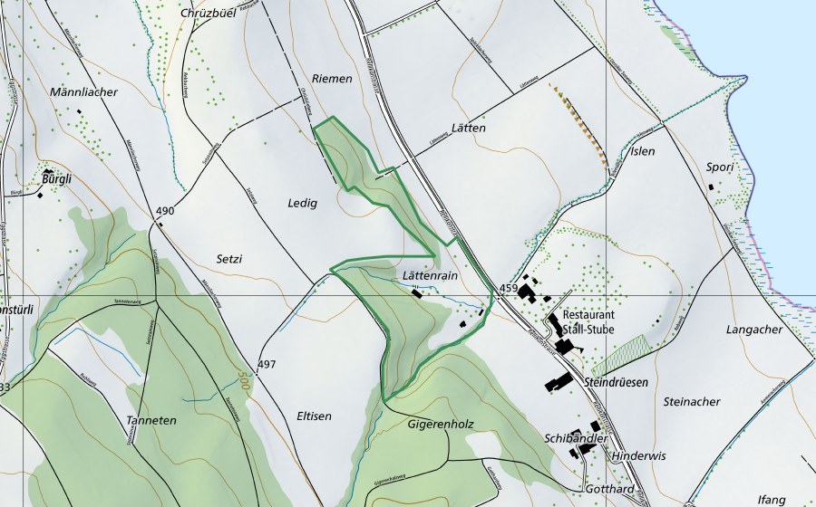 Landeskarte swisstopo mit dem Schutzperimeter von Lättenrain (Naturschutzgebiet)