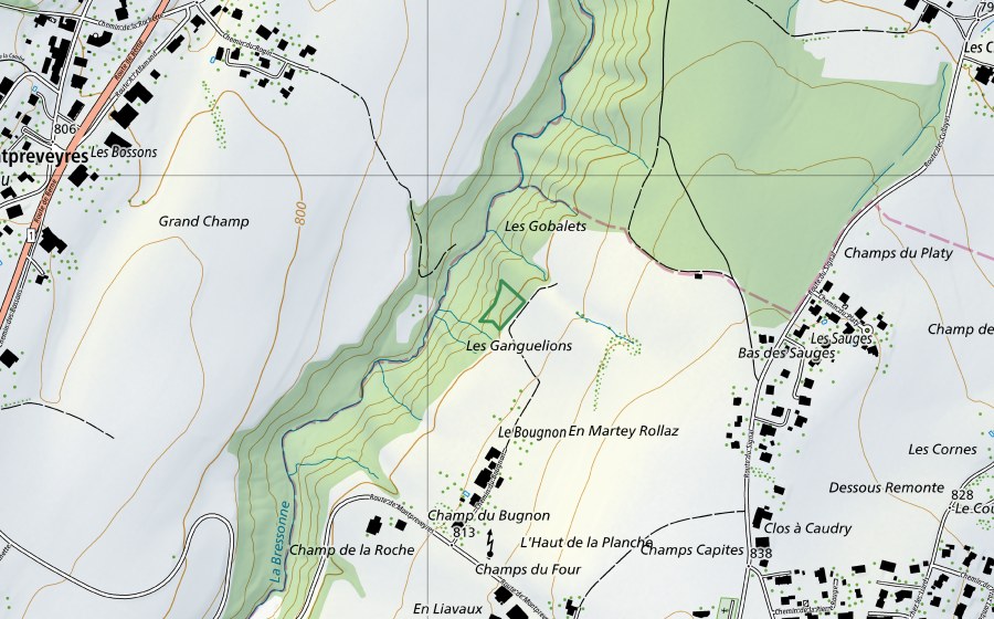 Carte nationale swisstopo avec le périmètre protégé de Le Bougnon (Réserve naturelle)