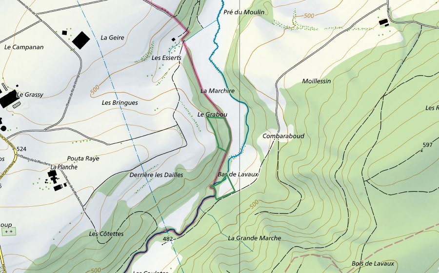 Landeskarte swisstopo mit dem Schutzperimeter von Le Grabou (Naturschutzgebiet)