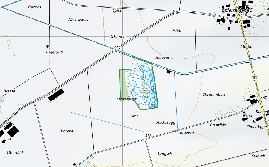 Landeskarte swisstopo mit dem Schutzperimeter von Lehmgrube Opfershofen (Naturschutzgebiet)