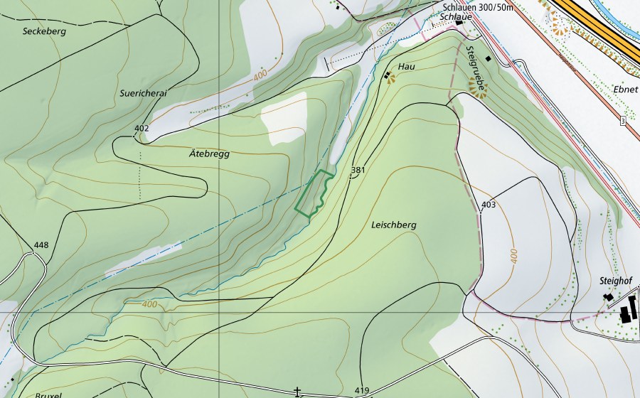 Landeskarte swisstopo mit dem Schutzperimeter von Leischberg (Naturschutzgebiet)