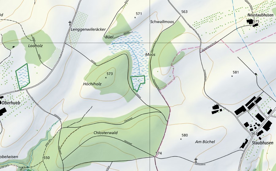 Carte nationale swisstopo avec le périmètre protégé de Lenggenwiler Moos (Réserve naturelle)