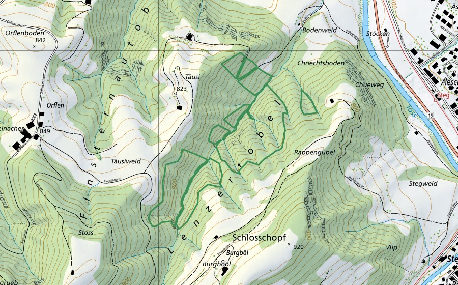 Carta nazionale swisstopo con il perimetro protetto di Lenzertobel (Riserva naturale)