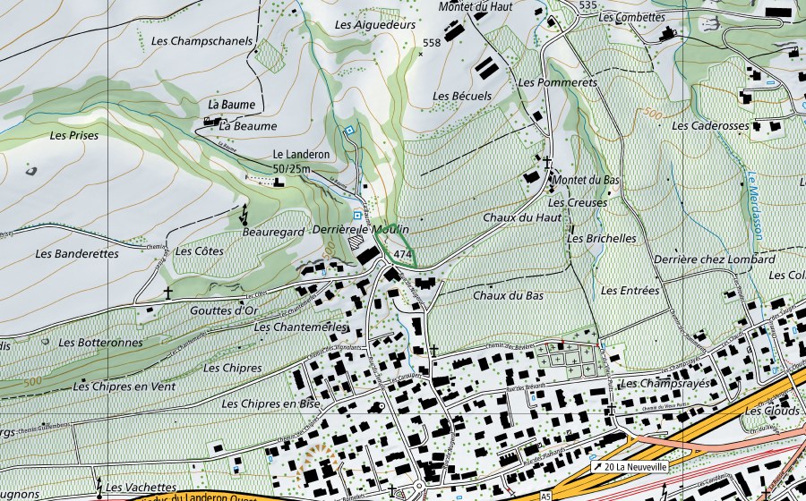 Landeskarte swisstopo mit dem Schutzperimeter von Les Bécuels / Le Landeron (Naturschutzgebiet)