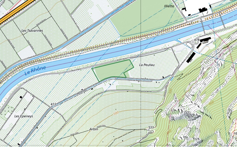 Landeskarte swisstopo mit dem Schutzperimeter von Les Epeneys (Naturschutzgebiet)