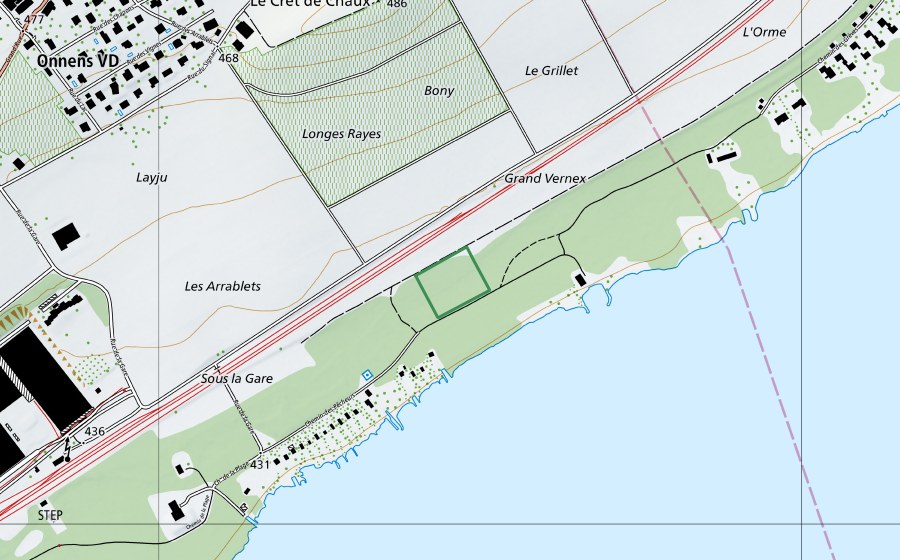 Landeskarte swisstopo mit dem Schutzperimeter von Les Grèves (Naturschutzgebiet)