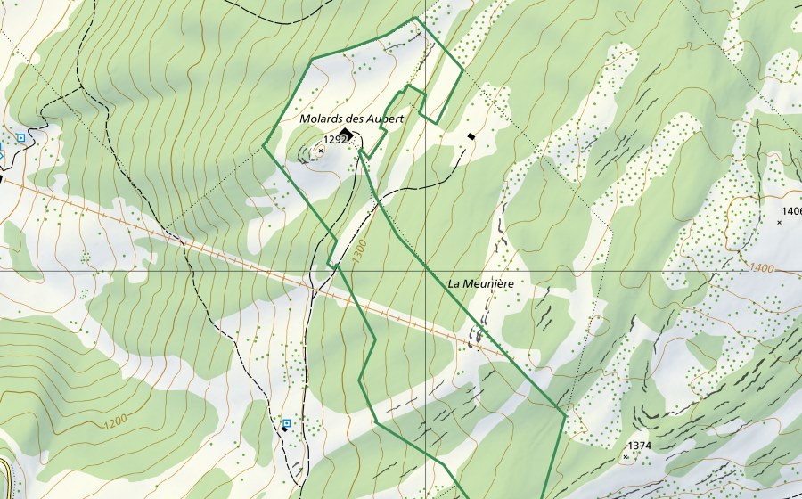 Carta nazionale swisstopo con il perimetro protetto di Les Mollards-des-Aubert (Riserva naturale)
