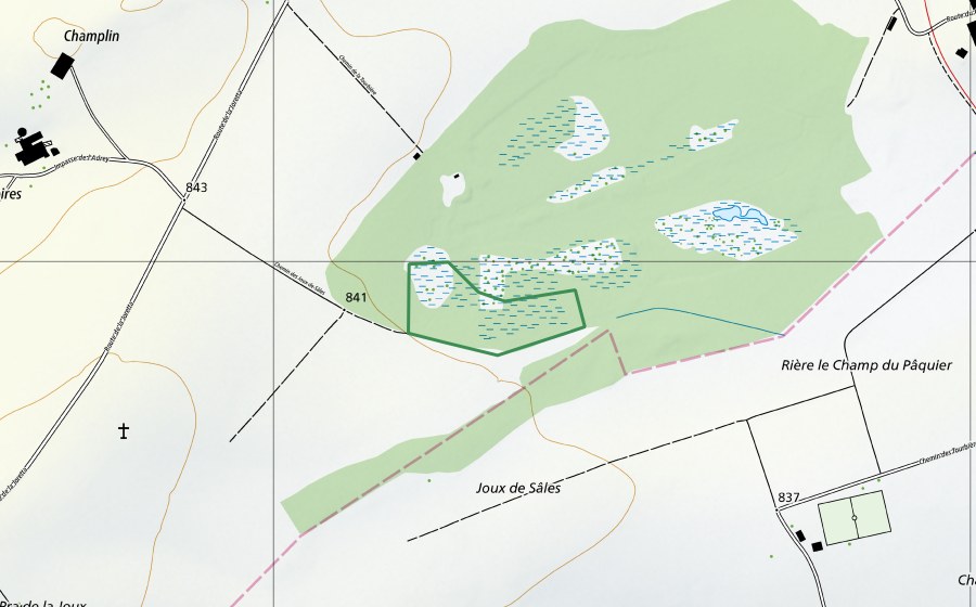 Carta nazionale swisstopo con il perimetro protetto di Les Mosses de Sâles (Riserva naturale)