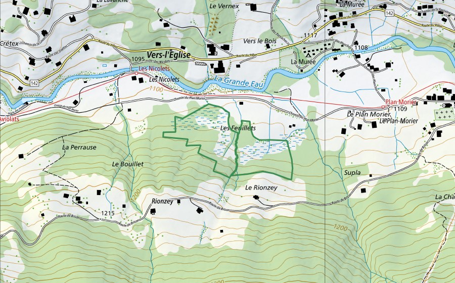 Carte nationale swisstopo avec le périmètre protégé de Les Nicolets (Réserve naturelle)