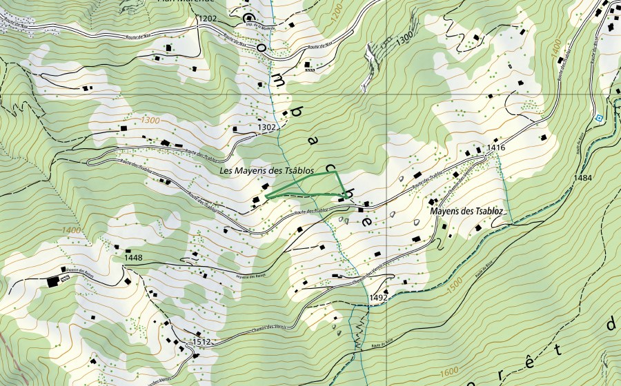 Carte nationale swisstopo avec le périmètre protégé de Les Tsables (Réserve naturelle)