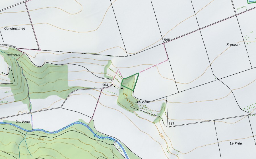 Landeskarte swisstopo mit dem Schutzperimeter von Les Vaux (Naturschutzgebiet)