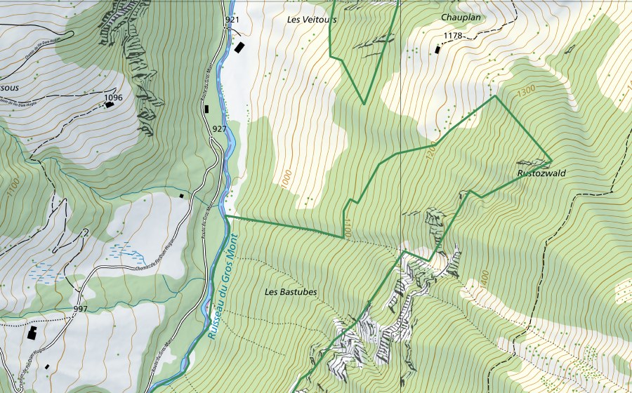 Landeskarte swisstopo mit dem Schutzperimeter von Les Veitours (Naturschutzgebiet)