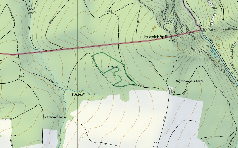 Carte nationale swisstopo avec le périmètre protégé de Litstel (Réserve naturelle)