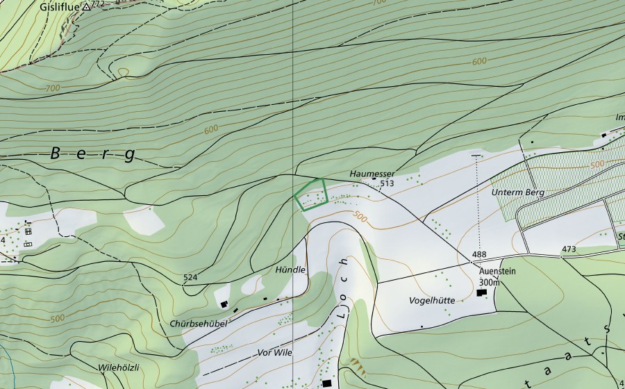 Landeskarte swisstopo mit dem Schutzperimeter von Loch (Naturschutzgebiet)