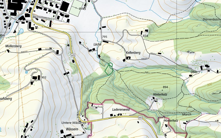 Carte nationale swisstopo avec le périmètre protégé de Löchli (Réserve naturelle)