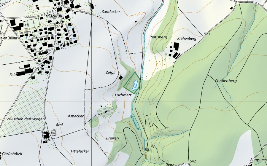 swisstopo national map showing the protected perimeter of Lochmattweiher Lehmgrube (Nature reserve)
