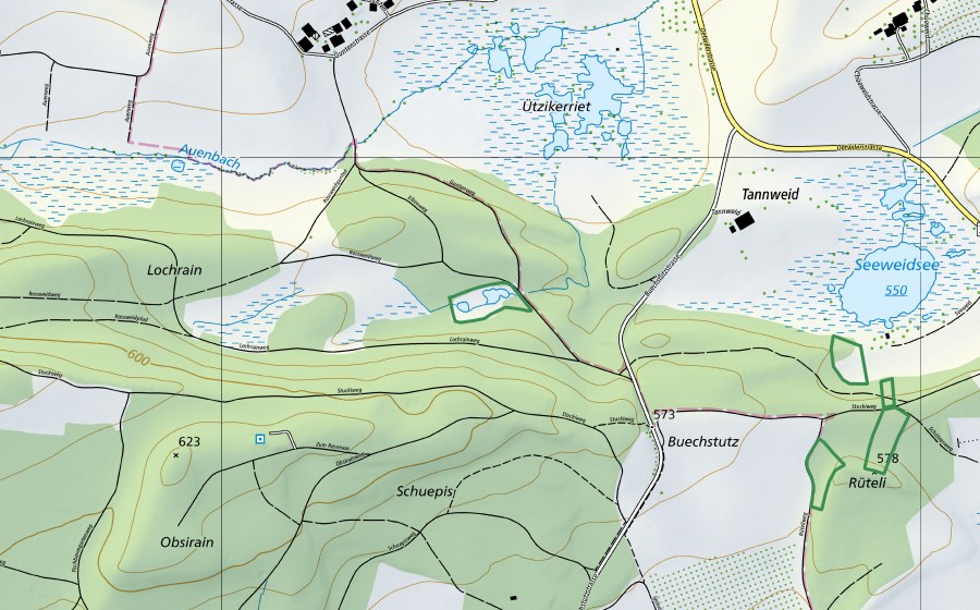Carte nationale swisstopo avec le périmètre protégé de Lochrain (Réserve naturelle)