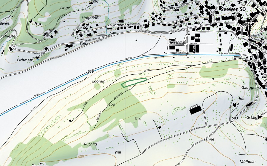 Carte nationale swisstopo avec le périmètre protégé de Loh (Réserve naturelle)