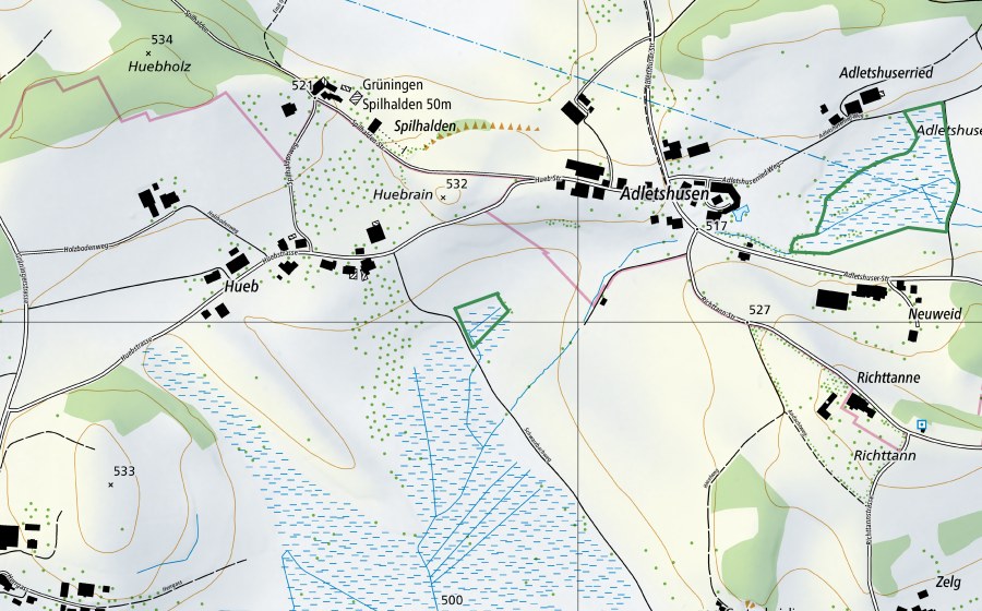 swisstopo national map showing the protected perimeter of Lutiker Ried (Nature reserve)