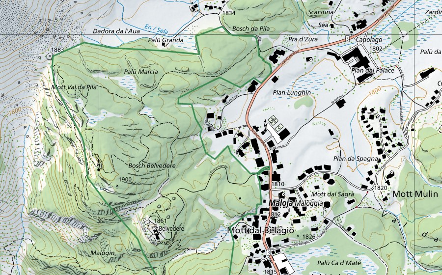 Carta nazionale swisstopo con il perimetro protetto di Maloja Gletschermühlen (Riserva naturale)