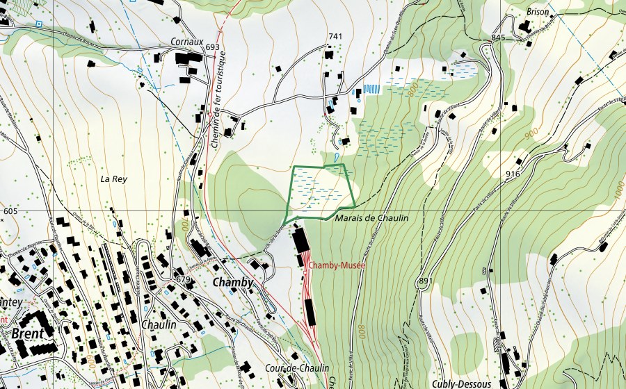 Carte nationale swisstopo avec le périmètre protégé de Marais de Chaulin (Réserve naturelle)