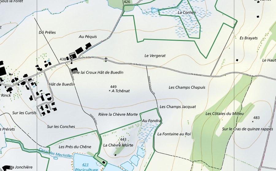 Carta nazionale swisstopo con il perimetro protetto di Marais de Damphreux (Riserva naturale)