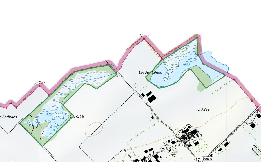 swisstopo national map showing the protected perimeter of Marais de Mategnin (Nature reserve)