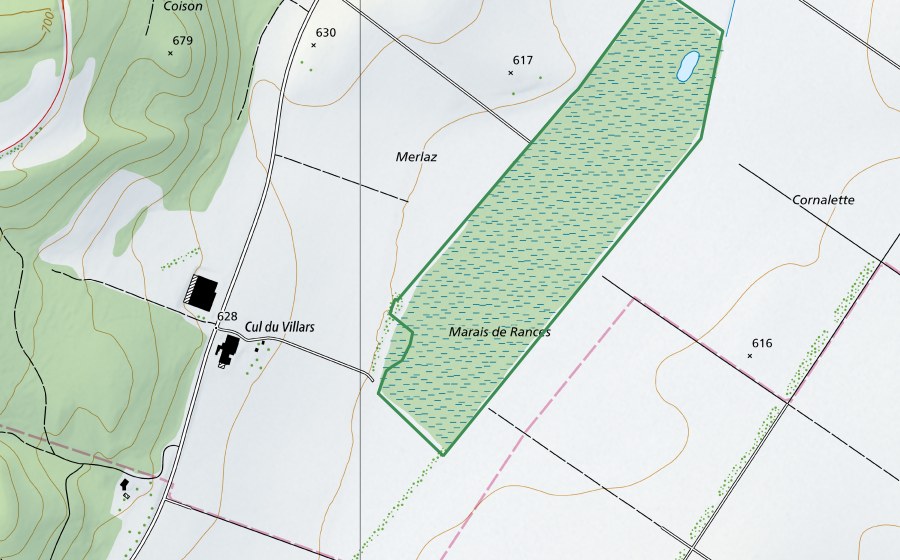 Landeskarte swisstopo mit dem Schutzperimeter von Marais de Rances (Naturschutzgebiet)